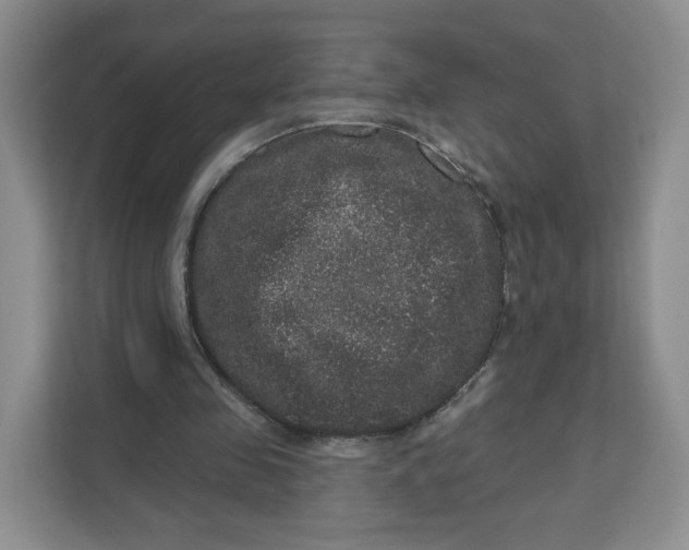 X0000111160341200907141406