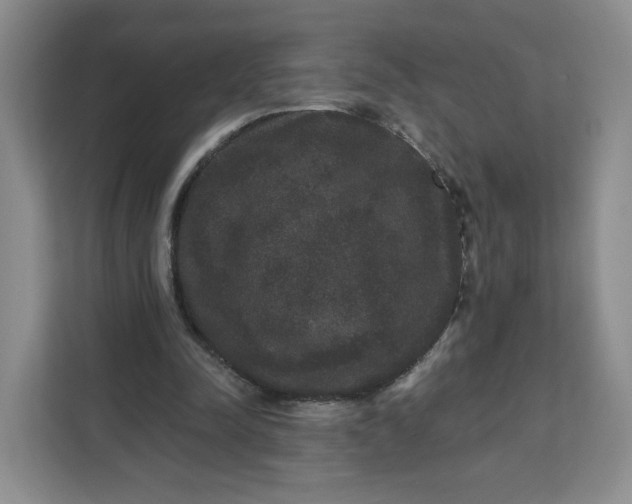 X0000111160342200907141406