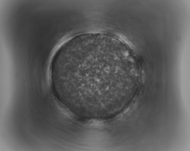 X0000111160343200907141406