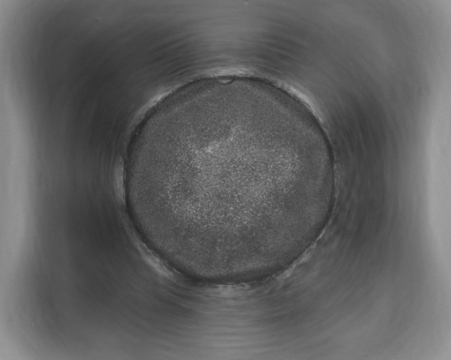 X0000111160345200907141406