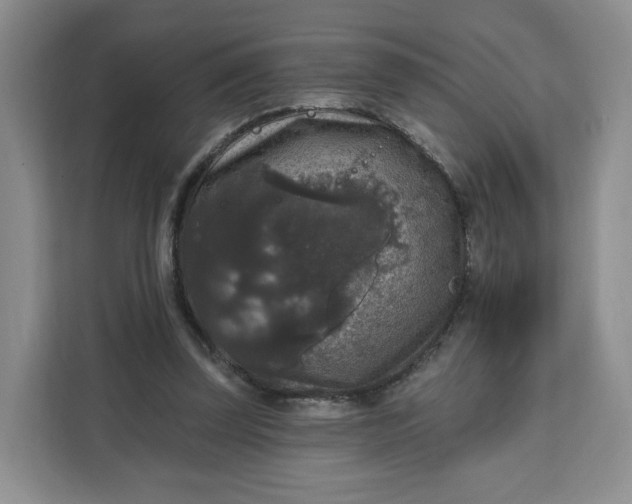 X0000111160347200907141406