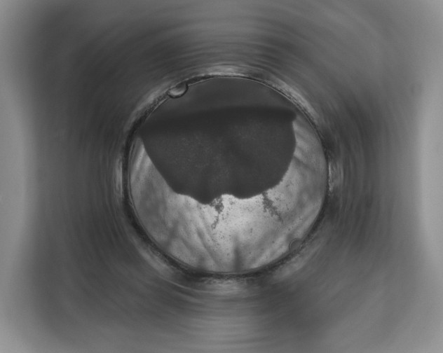 X0000111160349200907141406