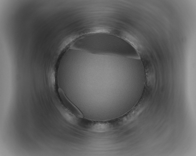 X0000111160350200907141406