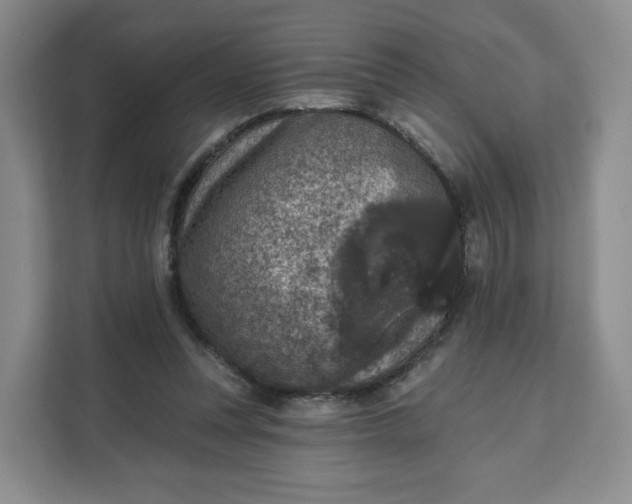 X0000111160351200907141406