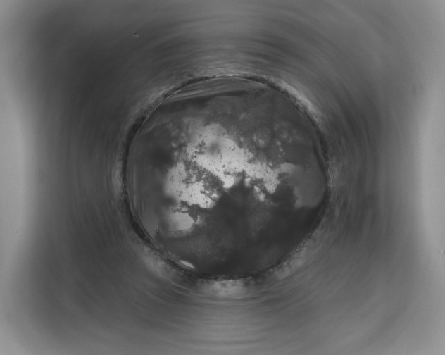 X0000111160353200907141406