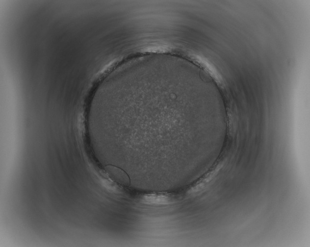 X0000111160354200907141406