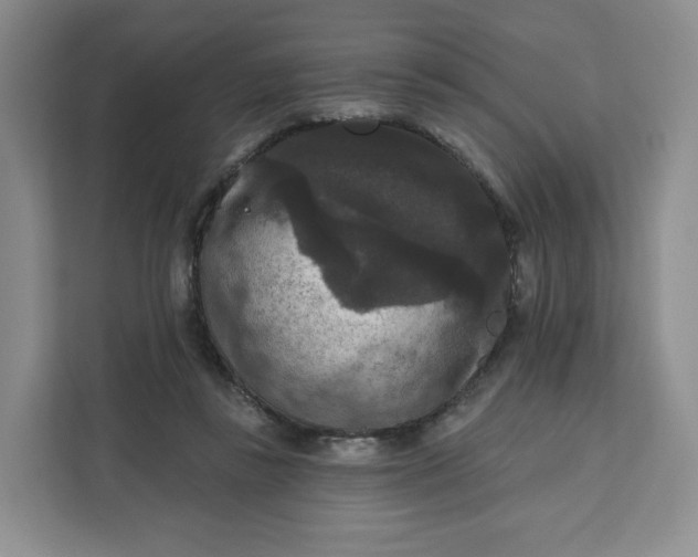 X0000111160355200907141406