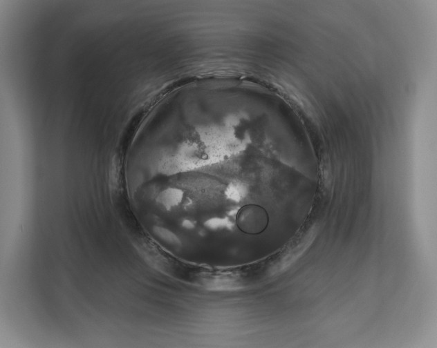 X0000111160359200907141406