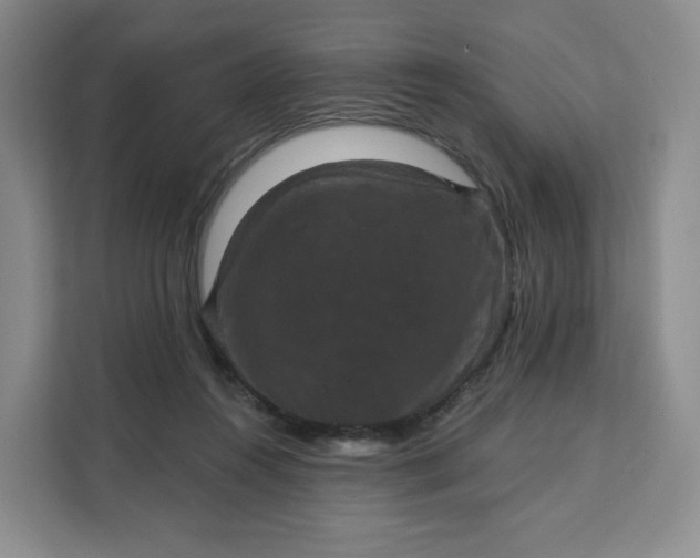 X0000111160360200907141406