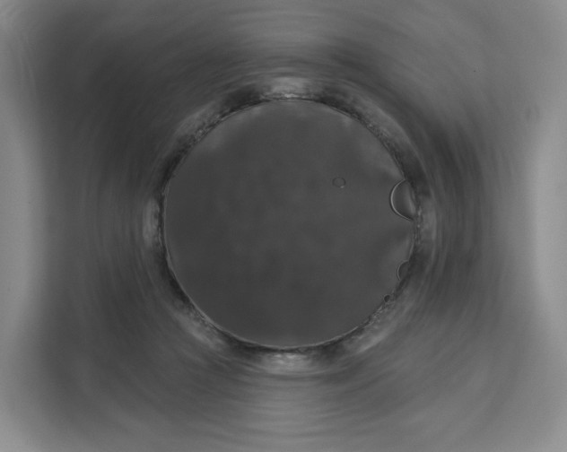 X0000111160361200907141406