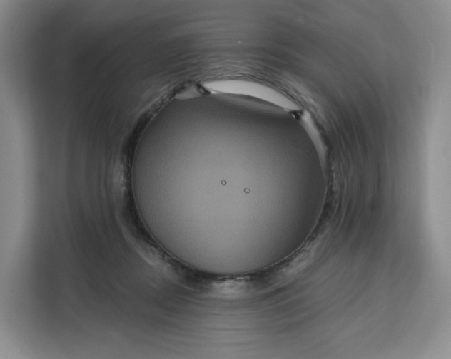 X0000111160362200907141406