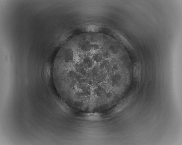 X0000111160363200907141406