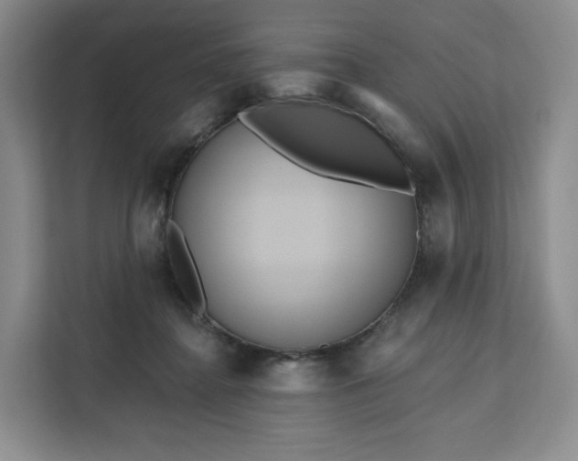 X0000111160364200907141406
