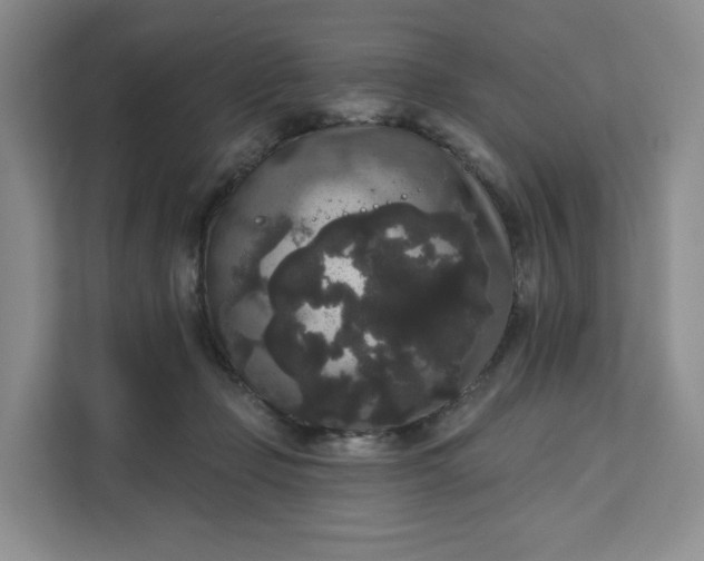 X0000111160365200907141406