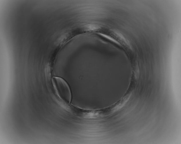 X0000111160366200907141406