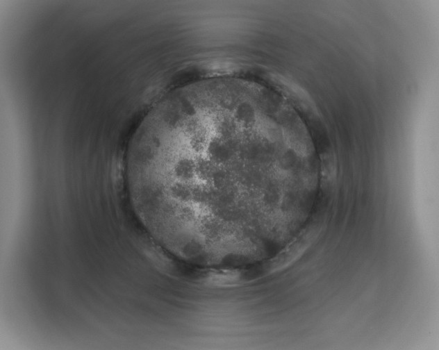 X0000111160369200907141406