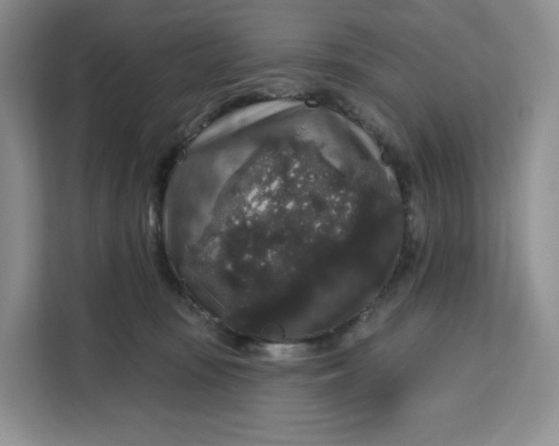 X0000111160371200907141406