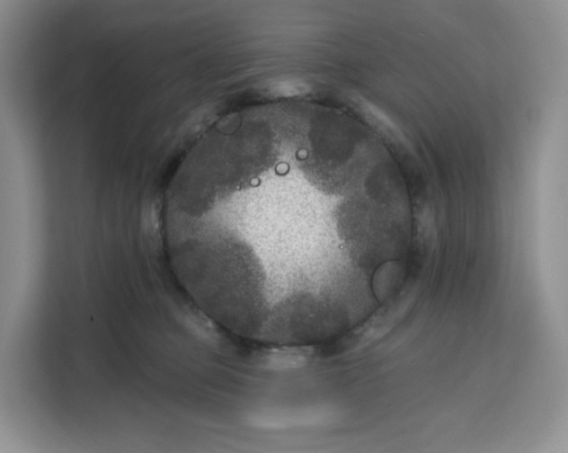 X0000111160373200907141406