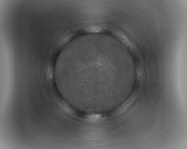 X0000111160374200907141406