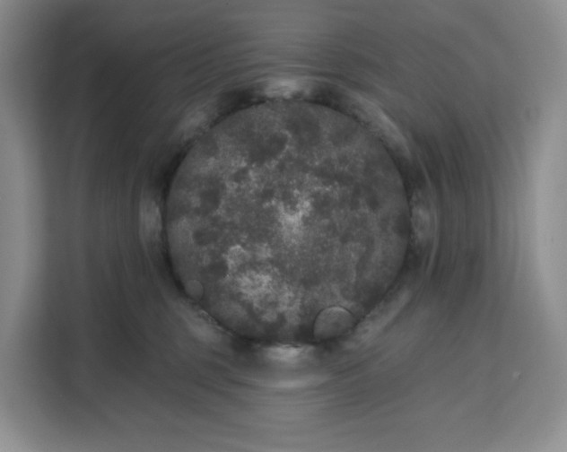 X0000111160375200907141406