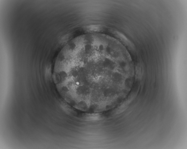 X0000111160377200907141406