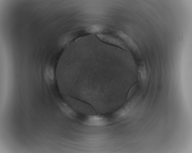 X0000111160380200907141407