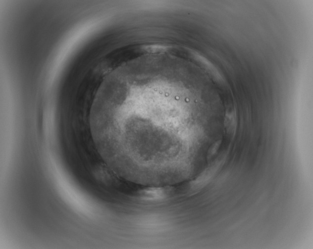 X0000111160381200907141407