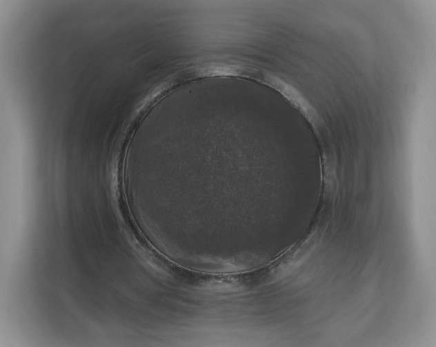 X0000111160386200907141406