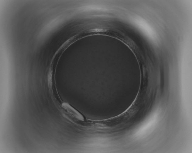 X0000111160387200907141406