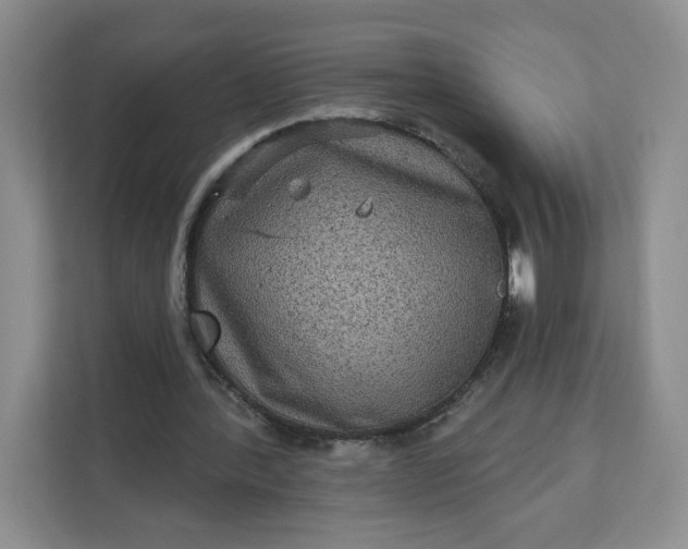 X0000111160388200907141406