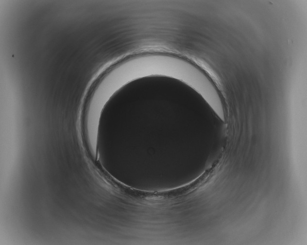 X0000111160391200907141406