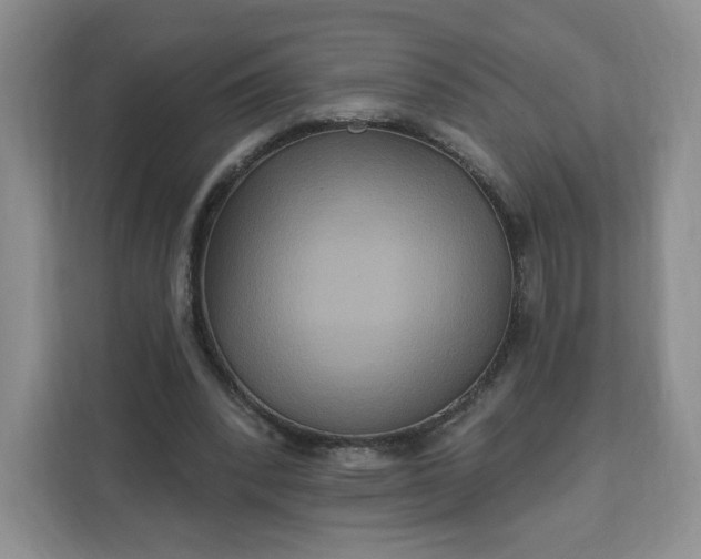 X0000111160392200907141406
