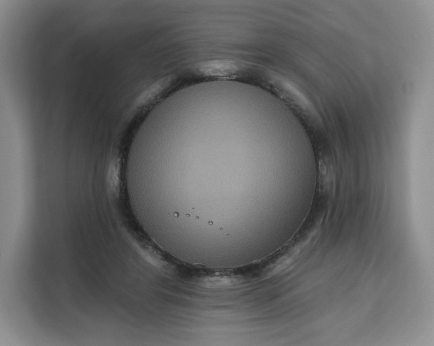 X0000111160404200907141406