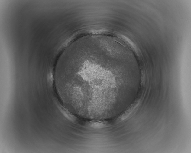 X0000111160405200907141406