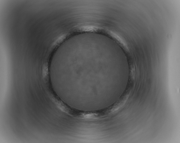 X0000111160407200907141406