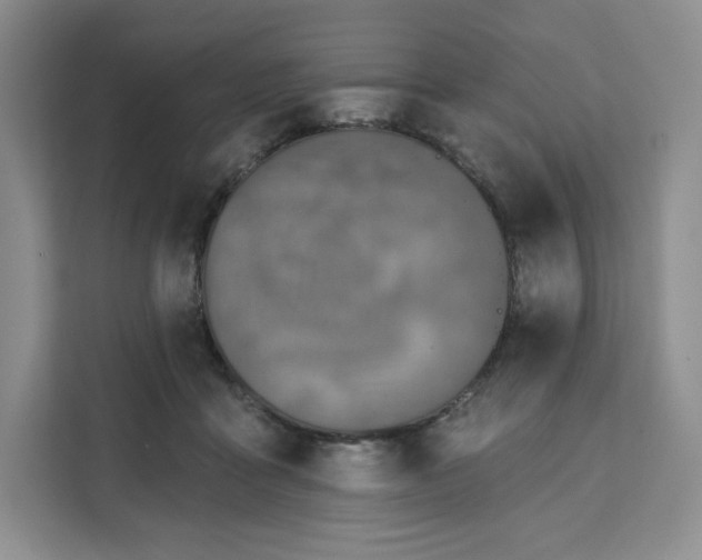 X0000111160411200907141406