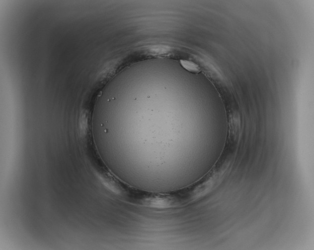 X0000111160412200907141406