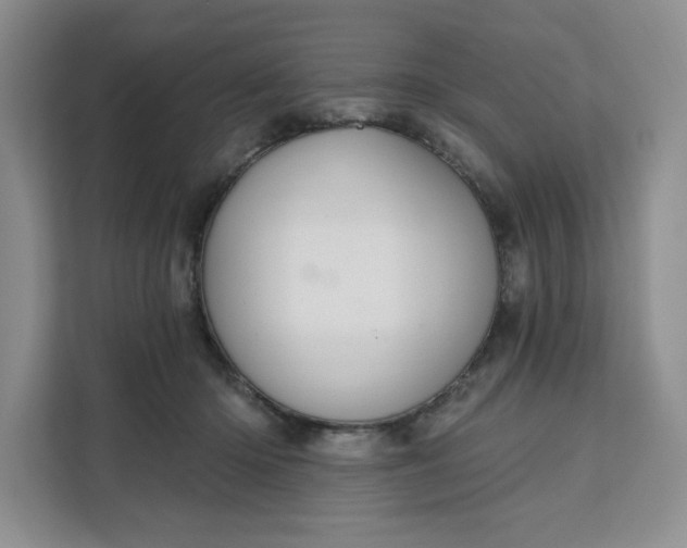 X0000111160414200907141406