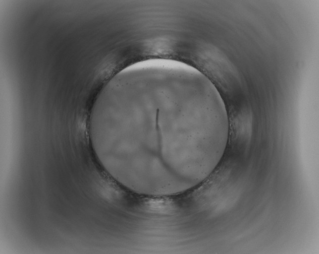 X0000111160415200907141406