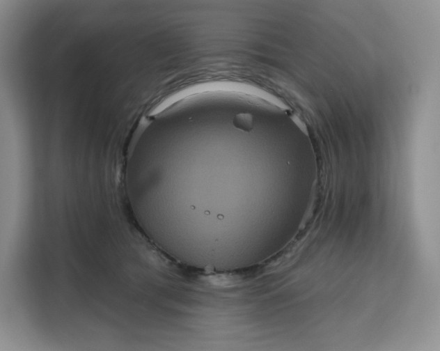 X0000111160417200907141406