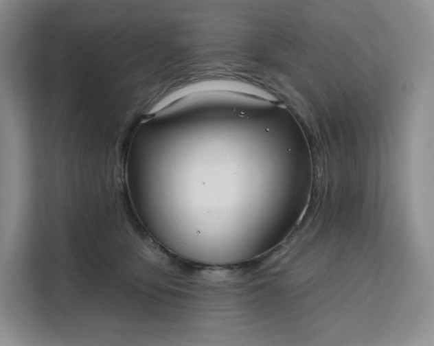 X0000111160419200907141405