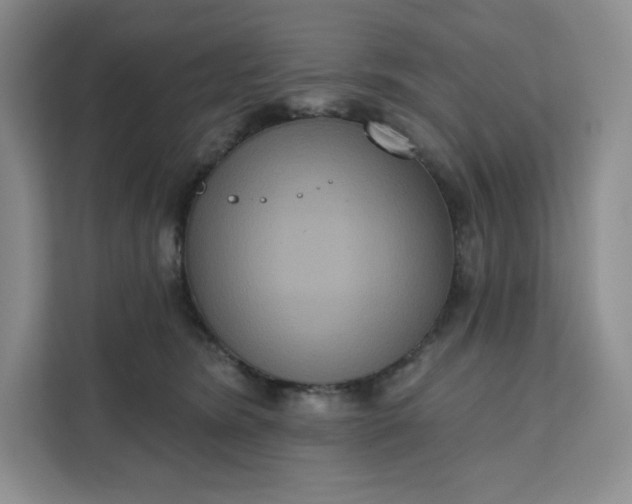 X0000111160420200907141405