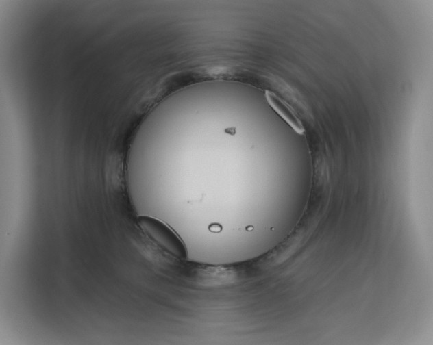 X0000111160421200907141405