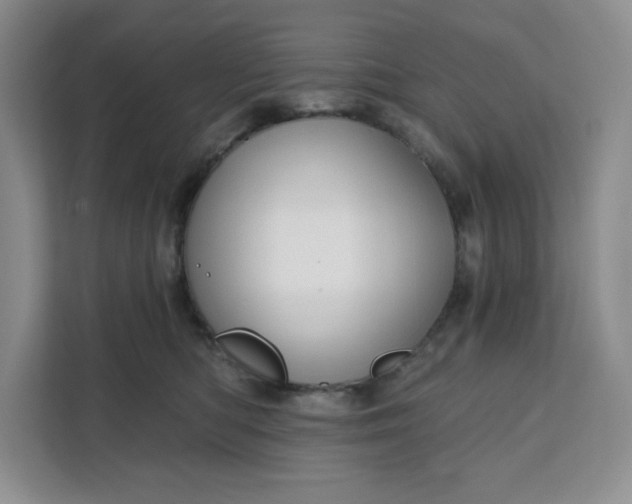 X0000111160422200907141405