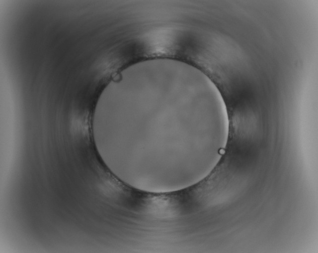 X0000111160423200907141405