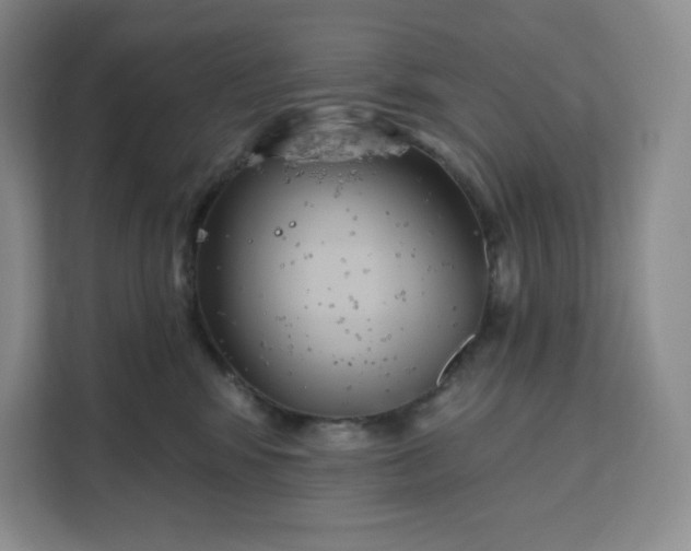 X0000111160424200907141405