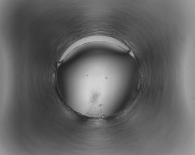 X0000111160427200907141405