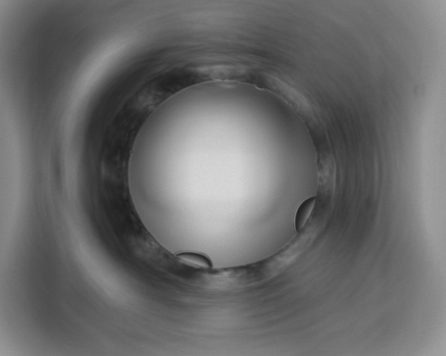 X0000111160430200907141405