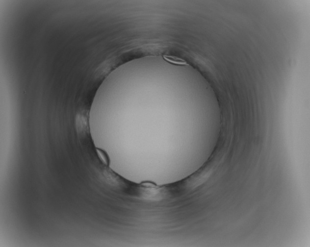 X0000111160432200907141405