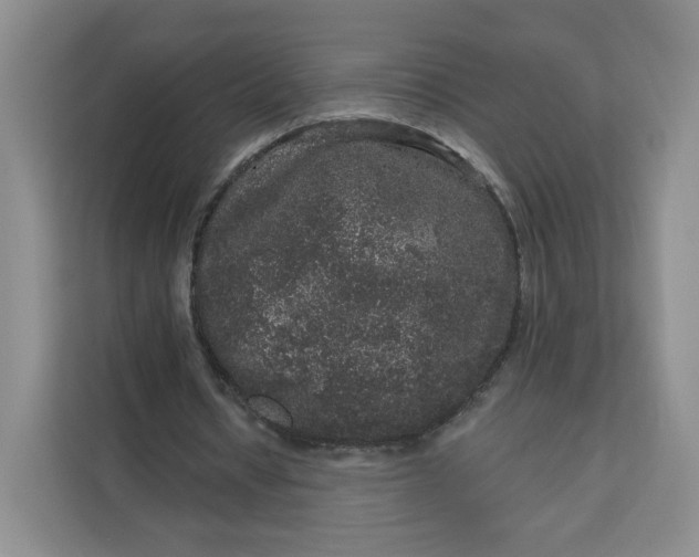 X0000111160434200907141405